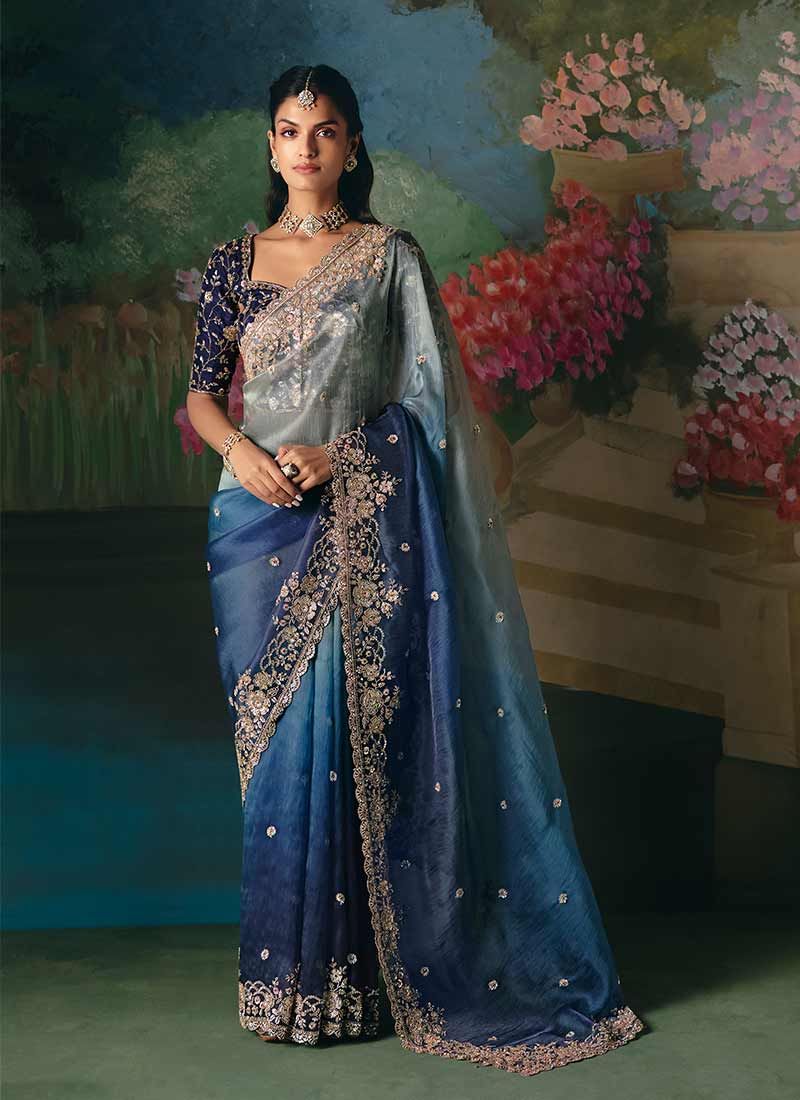 Blue Multicolored Embroidery Saree and Blouse