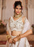 Buy Lehenga Choli 