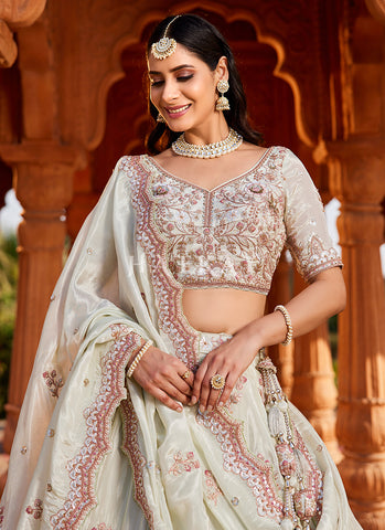 Pastel Green Embroidered Bridal Lehenga Choli