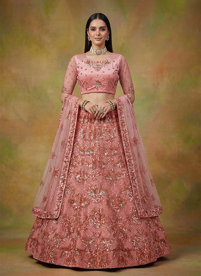 Blush Pink Embroidered Net Lehenga Choli