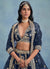 Buy Lehenga Choli 