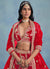 Buy Lehenga Choli 