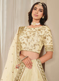 Buy Lehenga Choli 