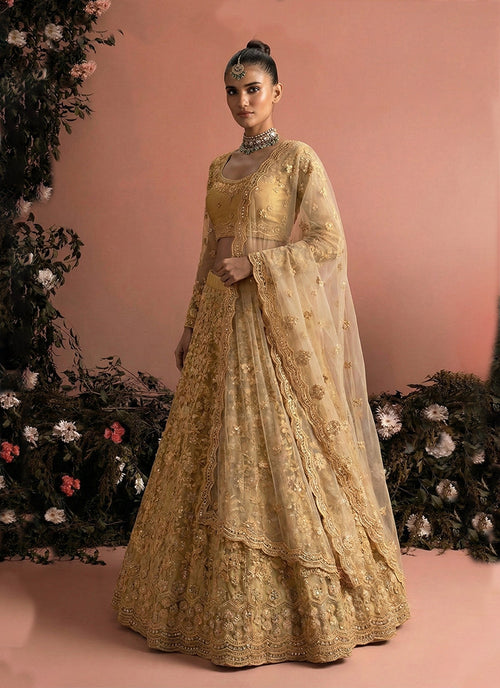 Buy Lehenga Choli 