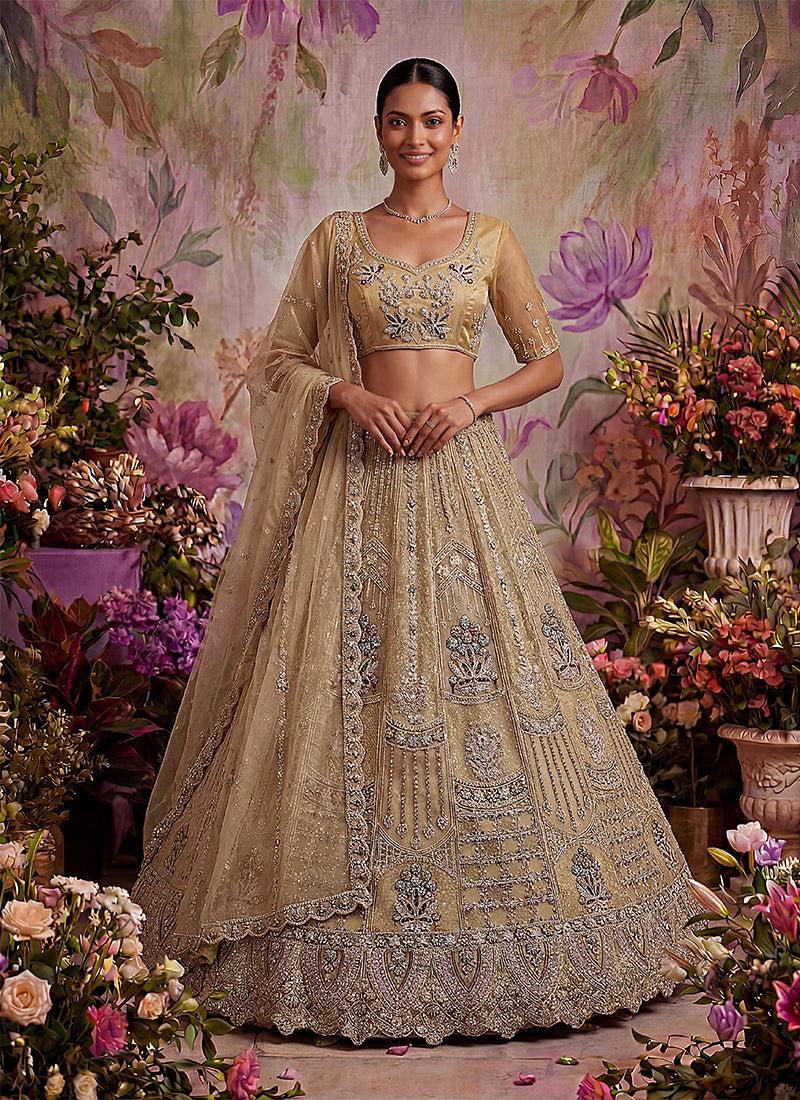 Beige Embroidered Net Lehenga Choli
