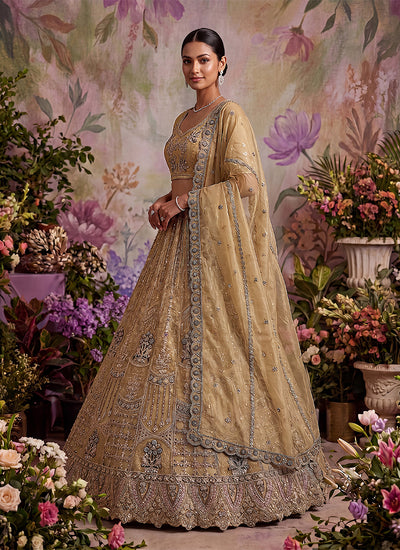 Beige Embroidered Net Lehenga Choli