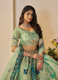 Buy Lehenga Choli
