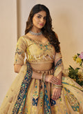 Buy Lehenga Choli