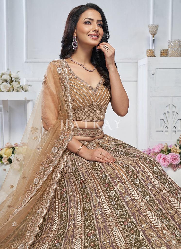 Brown Lehenga Choli