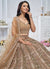 Brown Lehenga Choli