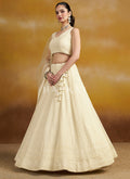 Shop Wedding Lehenga In USA, UK, Canada, Germany, Mauritius, Singapore, Australia With Free Shipping Worldwide.