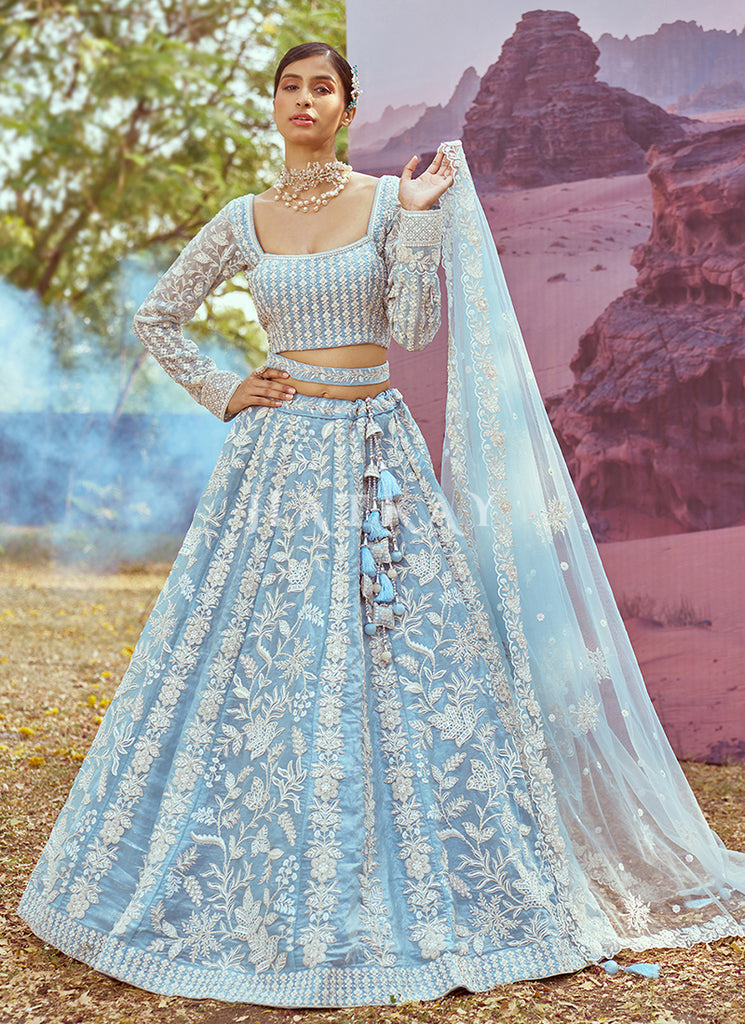 Blue Lehenga Choli