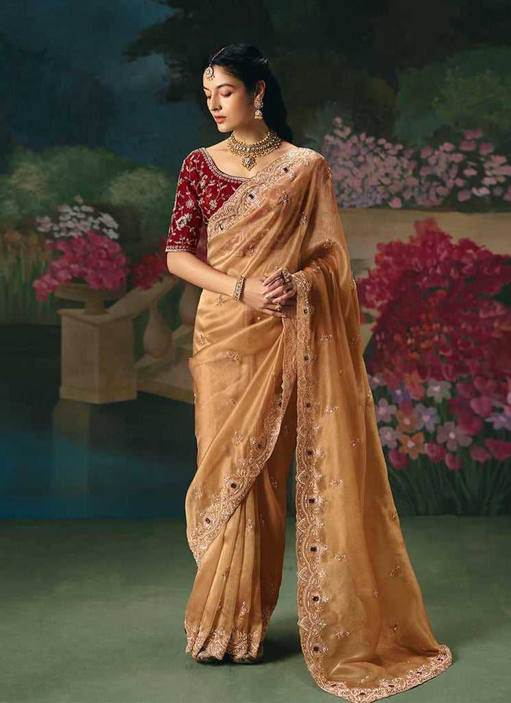 Rust Orange and Red Embroidery Saree and Blouse