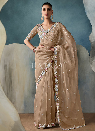 Light Brown Embroidery Silk Saree