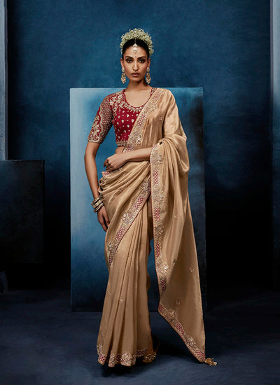 Beige Gold Handwork Embroidery Tissue Silk Saree