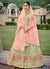 Light Green Multi Embroidery Traditional Lehenga Choli