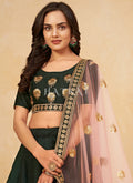 Bollywood Lehenga Choli