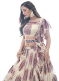 Shop Wedding Lehenga In USA, UK, Canada, Germany, Mauritius, Singapore With Free Shipping Worldwide.