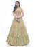 Yellow Multi Embroidered Festive Lehenga Choli