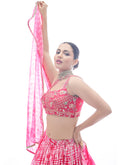 Lehenga Choli
