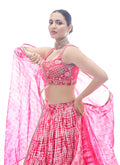 Pink Lehenga Choli