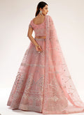 Designer Lehenga Choli