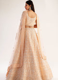 Designer Lehenga Choli