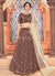 Brown Traditional Embroidered Lehenga Choli