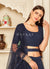Buy Lehenga Choli