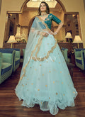 Buy Lehenga Choli