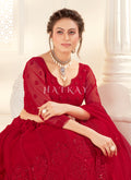 Net Lehenga Choli