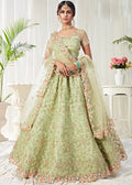 Pista Green Designer Lehenga Choli