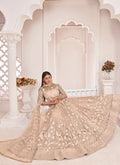 Shop Wedding Lehenga Choli In USA, UK, Canada, Germany, Mauritius, Singapore With Free Shipping Worldwide.