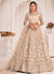 Beige Brown Traditional Embroidered Wedding Lehenga Choli