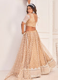 Shop Latest Bollywood Lehenga Online Free Shipping In USA, UK, Canada, Germany, Mauritius, Singapore With Free Shipping Worldwide.