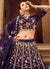 Buy Lehenga Choli 