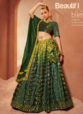 Green Mirror Work Embroidery Shaded Velvet Lehenga Choli