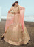 Baby Pink Zarkan Embroidered Designer Lehenga Choli