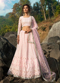 Baby Pink Designer Embroidery Wedding Lehenga Choli