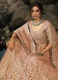 Buy Lehenga Choli 