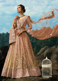 Dusty Pink Golden Sequence Designer Embroidery Wedding Lehenga Choli
