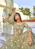 Indian Lehenga Choli