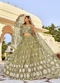 Green Lehenga Choli