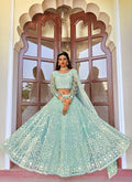 Blue Lehenga Choli