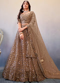 Light Brown Sequence Embroidery Wedding Lehenga Choli