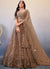 Light Brown Sequence Embroidery Wedding Lehenga Choli