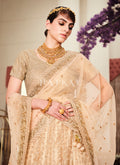 Golden Beige Lehenga Choli