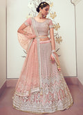 Pale Pink Traditional Embroidered Wedding Lehenga Choli