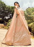 Soft Peach Golden Zari Embroidered Wedding Lehenga Choli