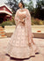 Pastel Pink Golden Zari Embroidered Wedding Lehenga Choli